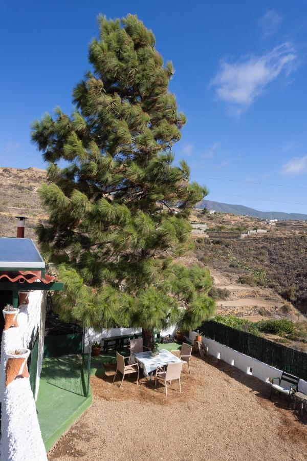 La Zarza Rural Experience By Sunkeyrents Villa Санта Крус де Тенерифе Екстериор снимка